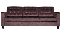 Камелот 3 р Goya Dimrose